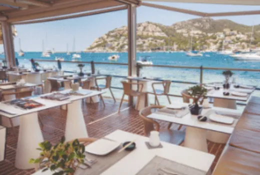 Descripción de la imagen